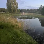 Wiire Holiday Home & Smoke Sauna