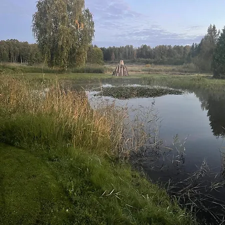 Wiire Old Fishermans And Smoke Sauna