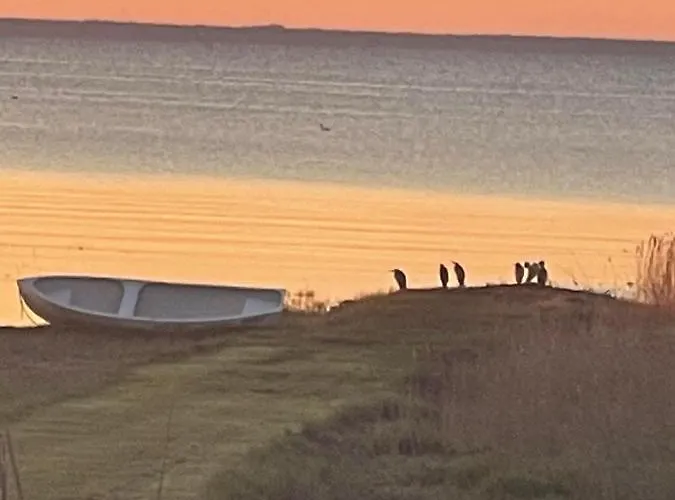 Wiire Old Fishermans And Smoke Sauna Saulepa