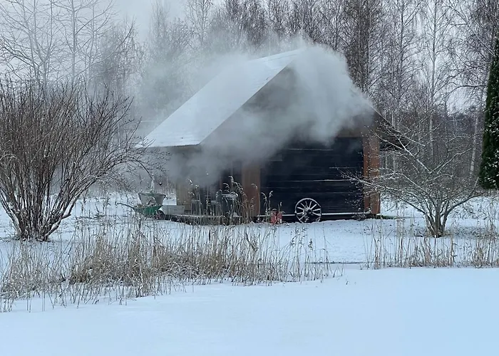 Wiire Old Fishermans And Smoke Sauna Dom wakacyjny Saulepa
