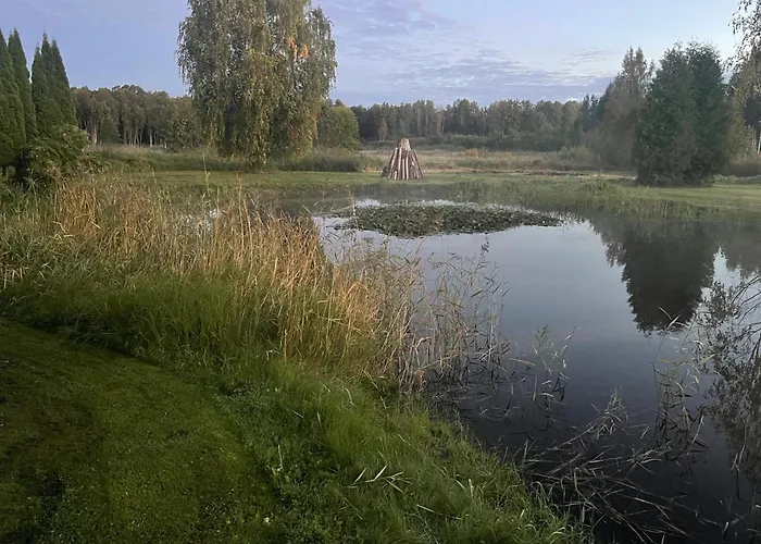 Wiire Old Fishermans And Smoke Sauna