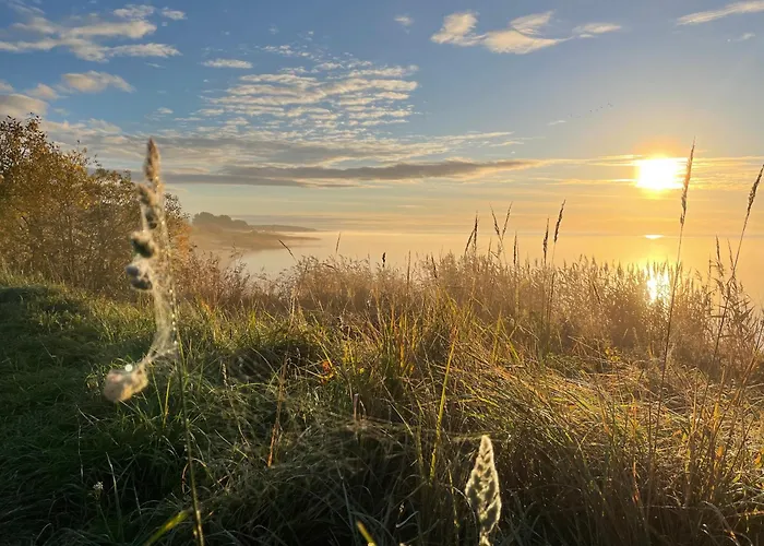 Wiire Old Fishermans And Smoke Sauna Saulepa